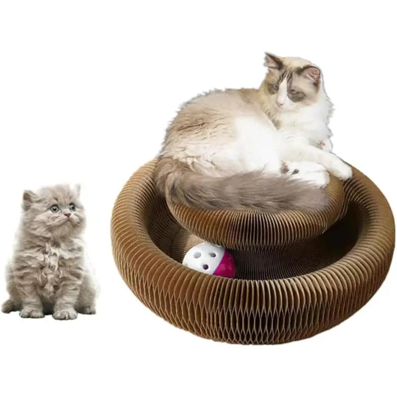 🔥-25% Magic Organ Cat Scratcher Board Cat Ball Adventure The Ultimate Interactive Mental Physical Exercise for Indoor Cats Toy