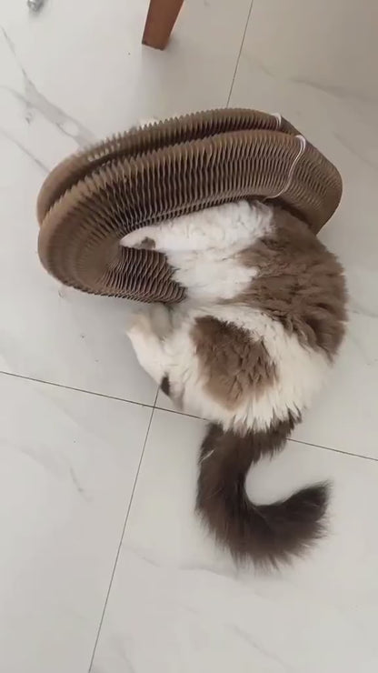 🔥-25% Magic Organ Cat Scratcher Board Cat Ball Adventure The Ultimate Interactive Mental Physical Exercise for Indoor Cats Toy